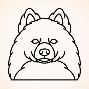 Amerikaanse eskimo hond