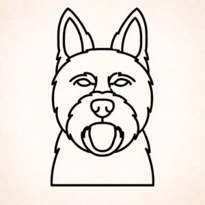 Australische terrier