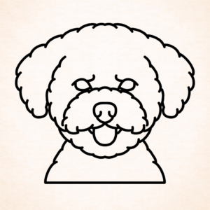 Bichon Frise