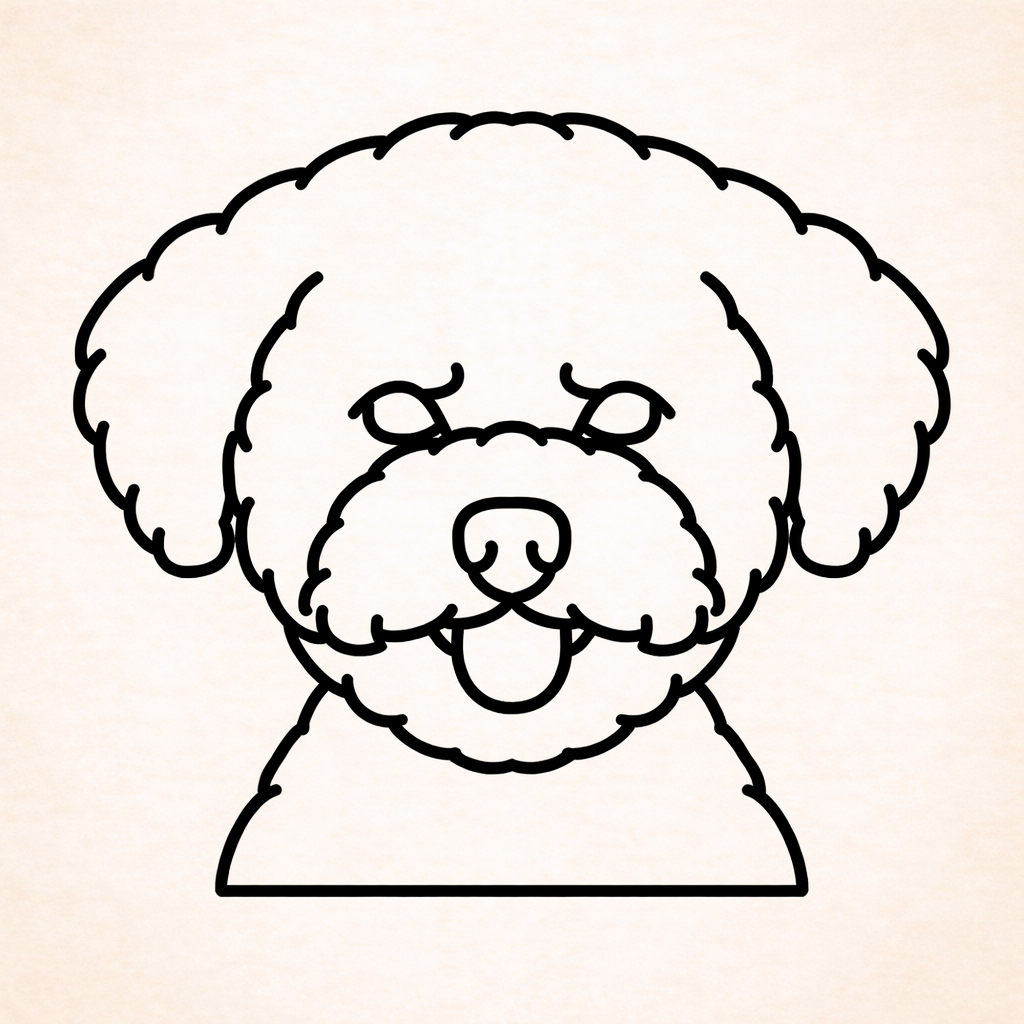 Bichon Frise