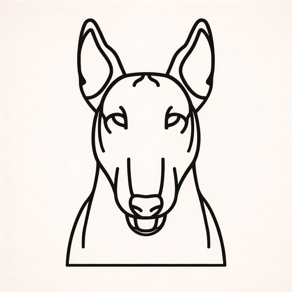 Bull terrier