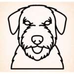 Vorige productafbeelding