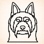 Volgende productafbeelding